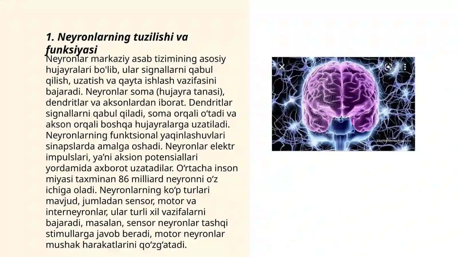 Psixofiziologiyada nerv tizimi 3