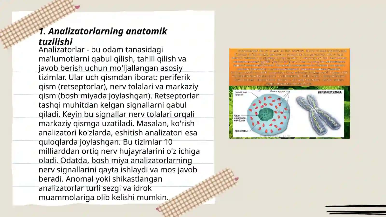 Analizatorlarning tuzilishi 3