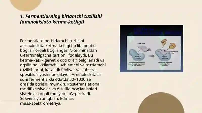 Fermentlar tuzilishi 3