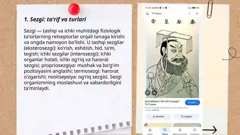 Sezgi 3
