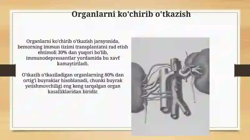 Transplantalogiya tarixi va holati. Transplantalogiya turlari 3
