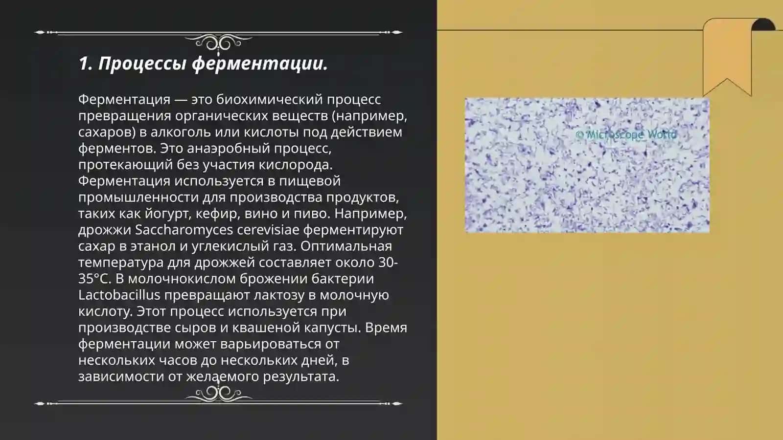 Mikroorganizmlardan olinadigan fermentlar 3