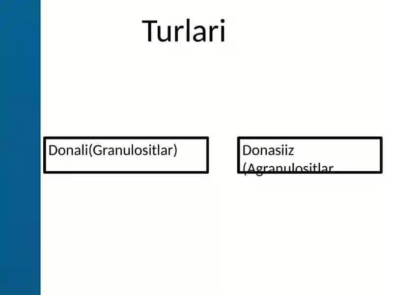 Leykositlar 3
