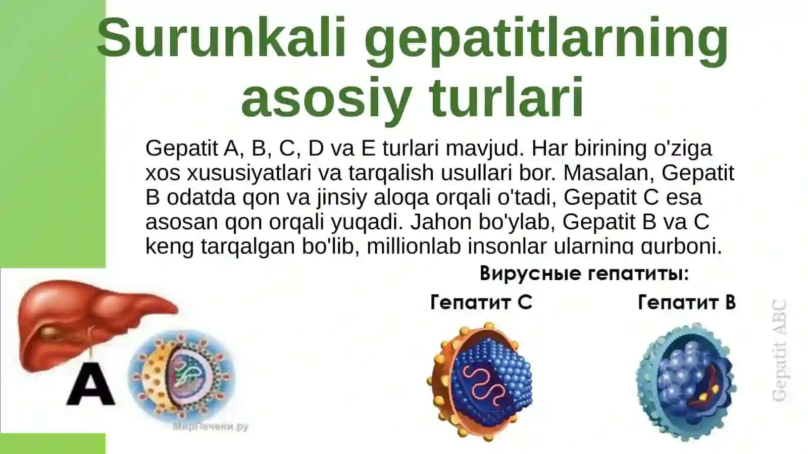 Surunkali gepatitlar. O't-tosh kasalliklari 3