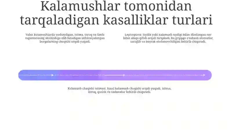 Sichqonlar Tarqatadigan Kasaliklar 3