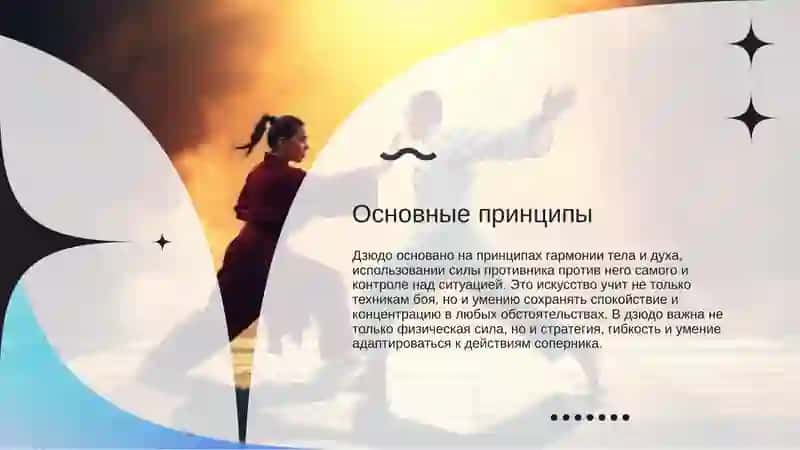 Дзюдо 3