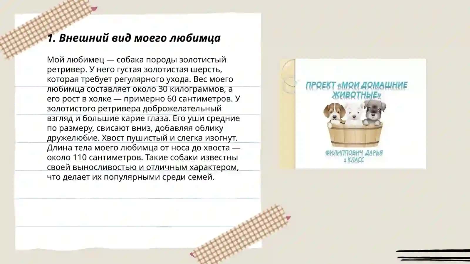 Мое любимое животное 3