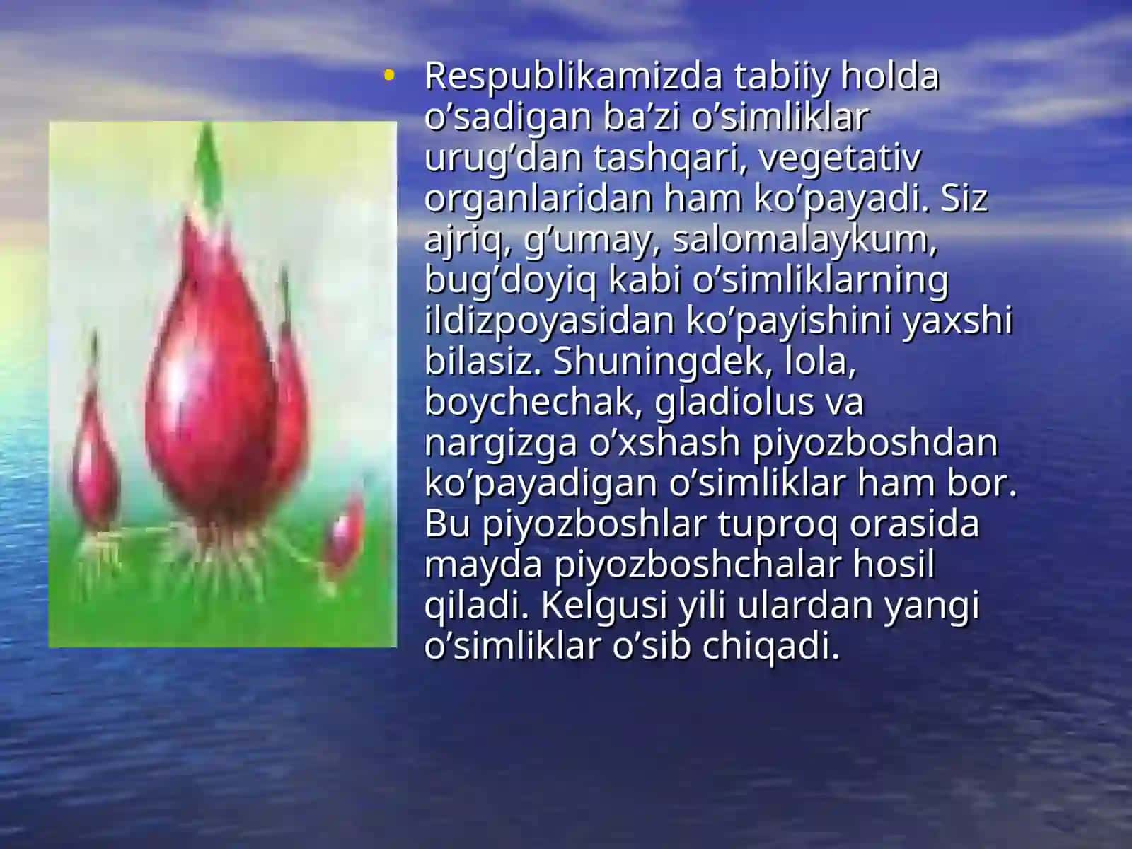 O'simliklarning ko'payishida vegitativ ko'payishni o'rni 3