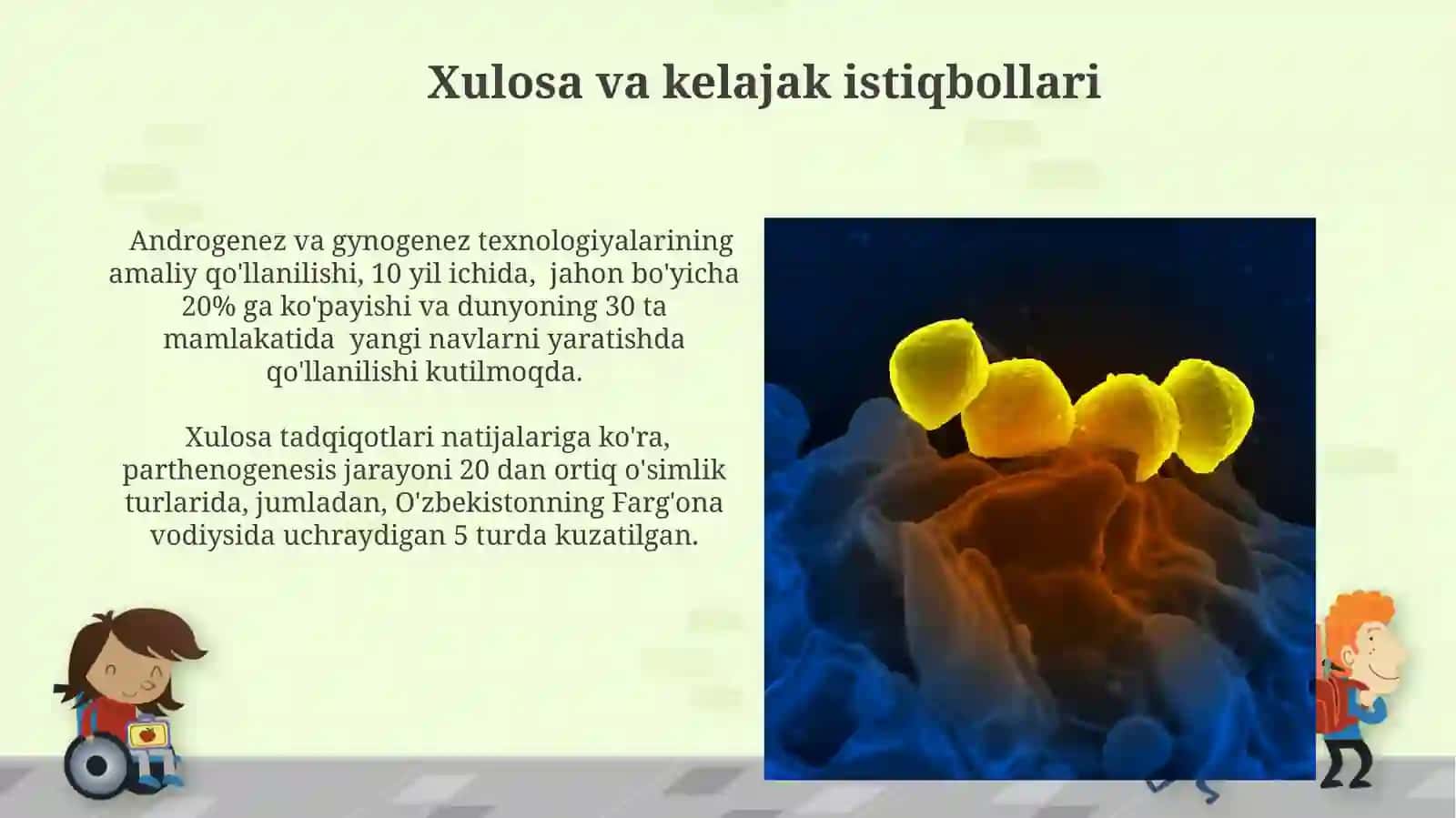 Androgenez, Ginogenez va Partenogenez 3