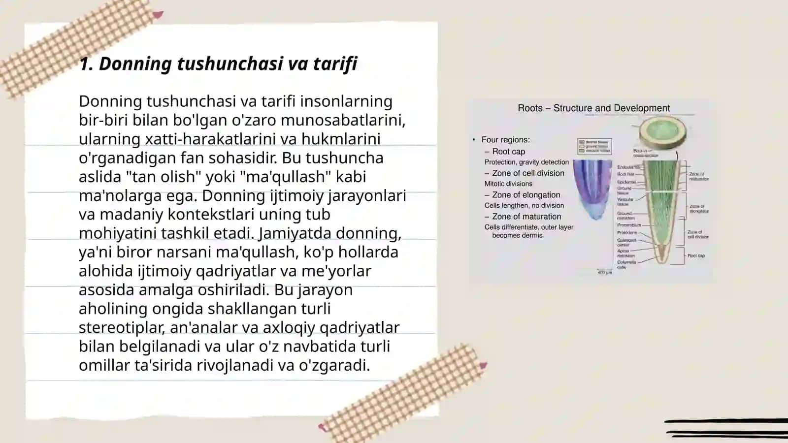 Donning tuzilishi va rivojlanishi 3