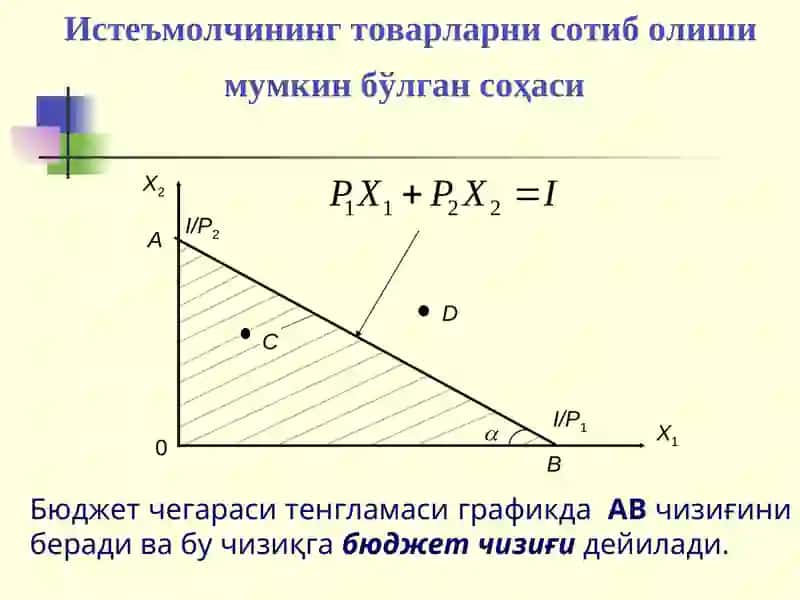 Истеъмолчи танлови назарияси 3