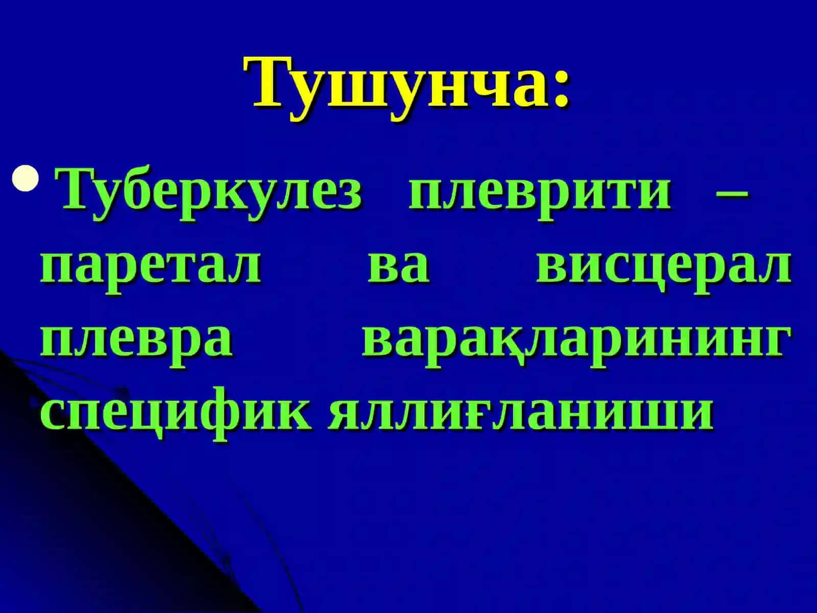 Плевратуберкулези.Туберкулез менингити 3
