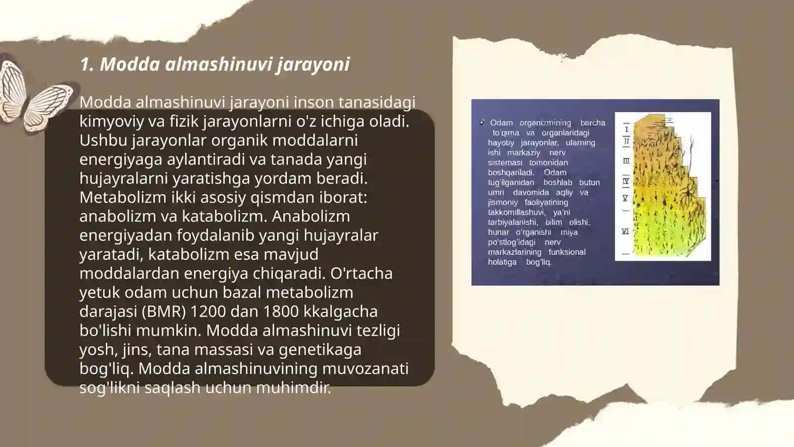Modda almashinuvi jarayoni 3