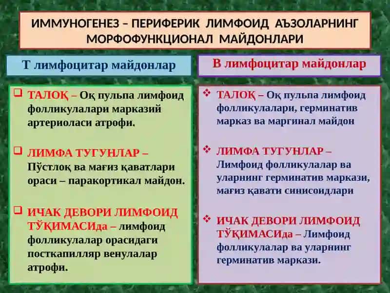 ИММУНОПАТОЛОГИК ЖАРАЁНЛАР 3