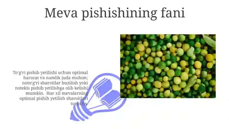 Meva pishishining fani 3