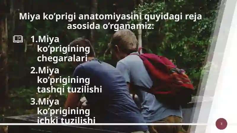 Miyako’prigi anatomiyasi 3