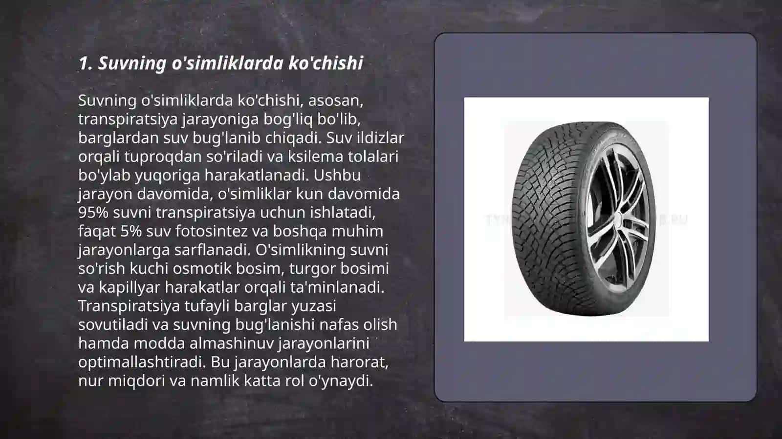 O'simliklarda suv harakati 3
