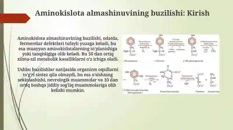 Stomatologiya 3