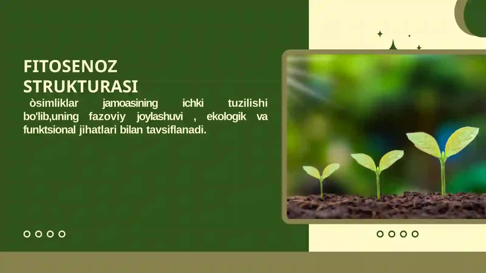 FITOSENOZ STRUKTURASI 3