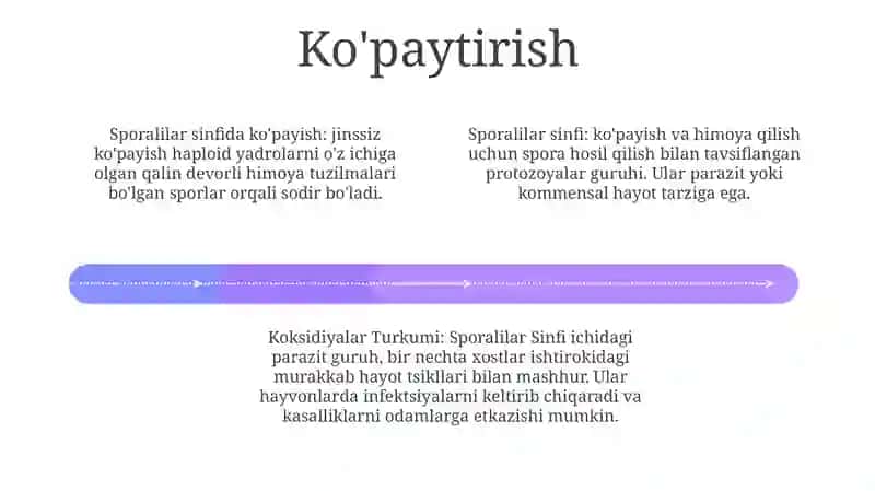 Sporalilar Sinfi, Koksidiyalar Turkumi 3