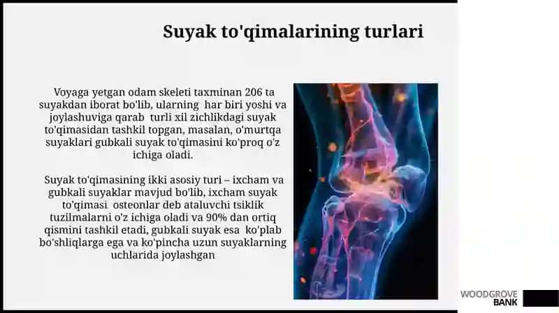 Suyak to’qimalari 3