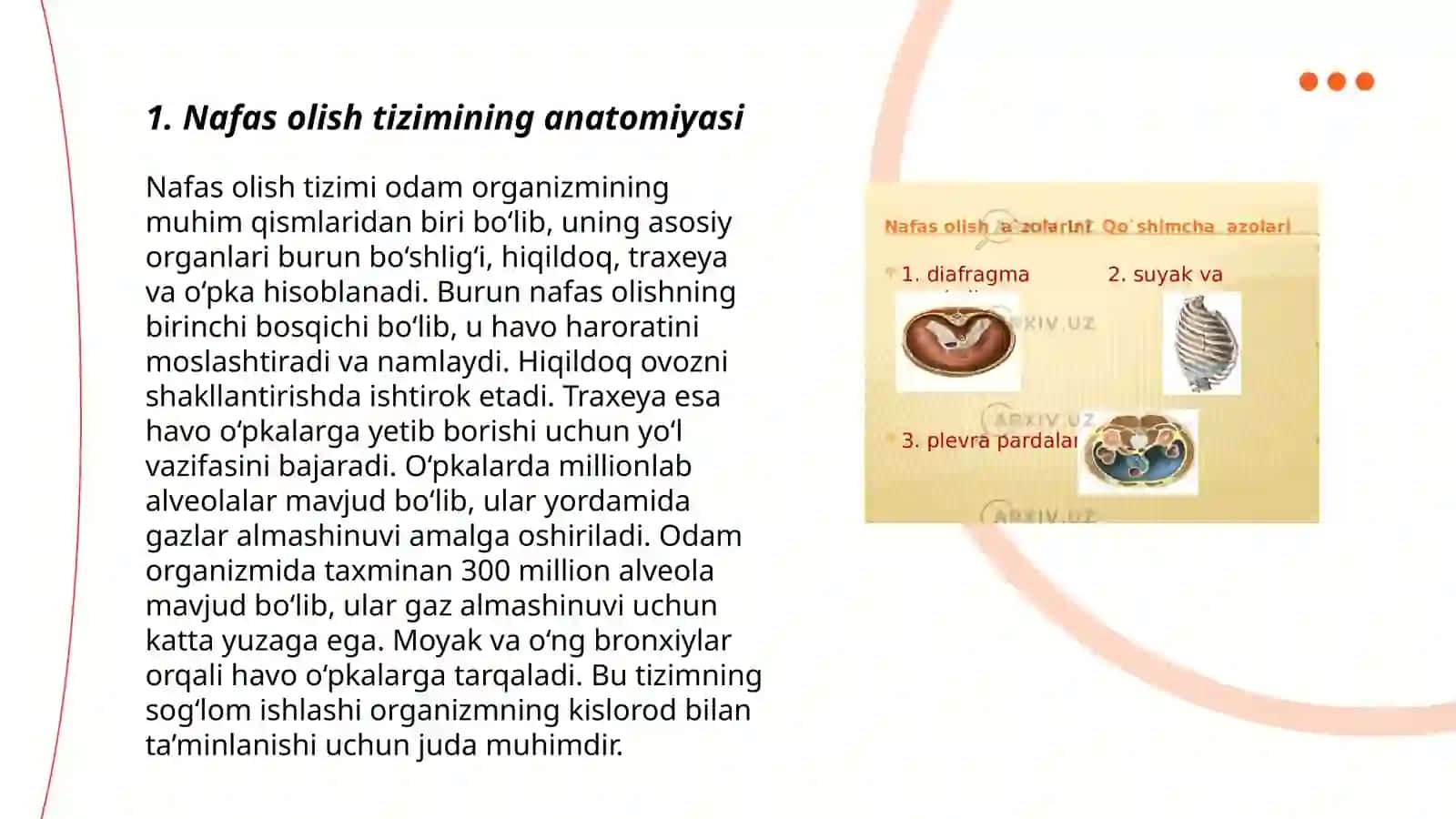 Nafas olish sistemasi 3