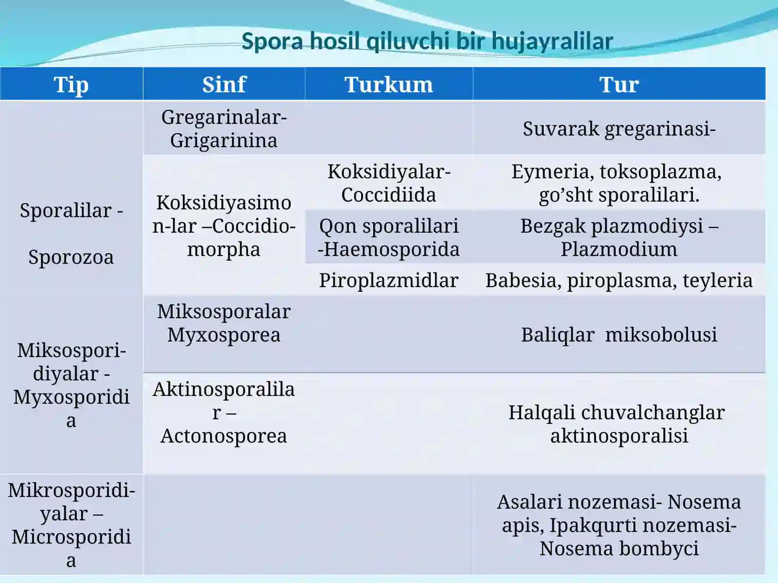 Sporalilar tipining umumiy tavsifi 3