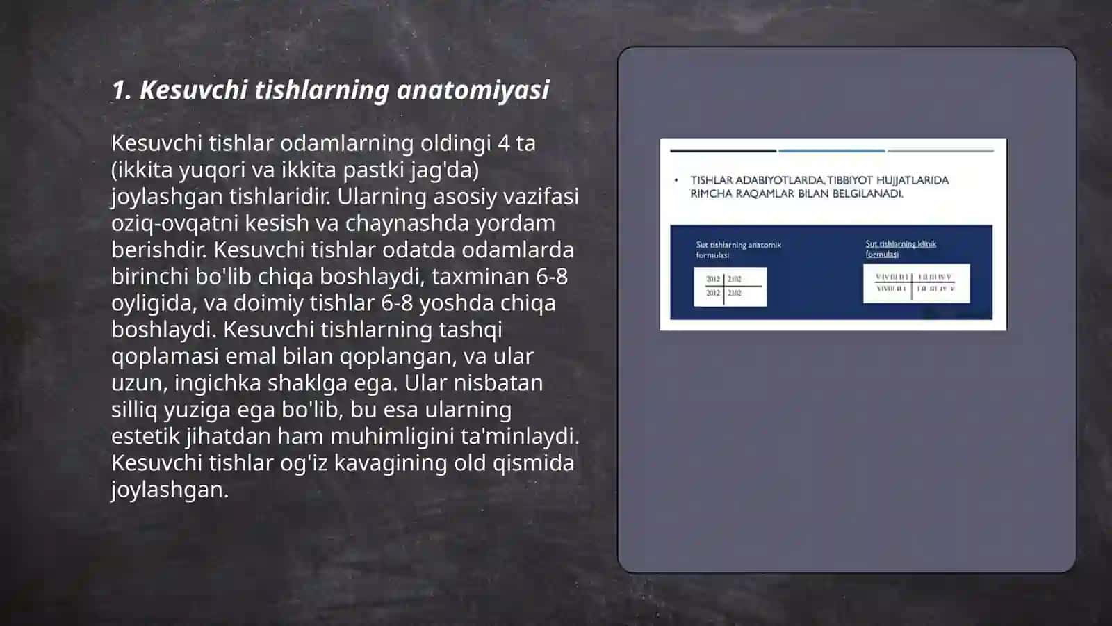 Kesuvchi tishlar anatomyasi 3