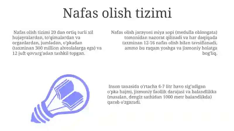 Odam anatomiyasi va unga tarif 3