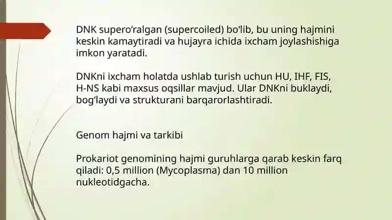 Prokariot genomi strukturasi 3