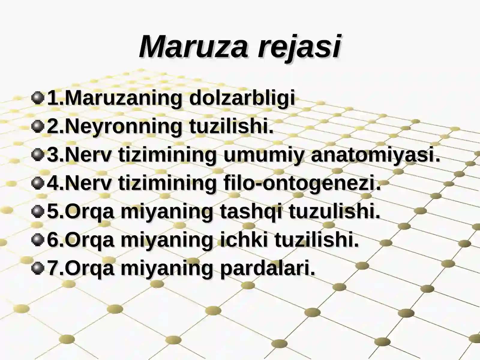 Nerv tizimining umumiy anatomiyasi 3