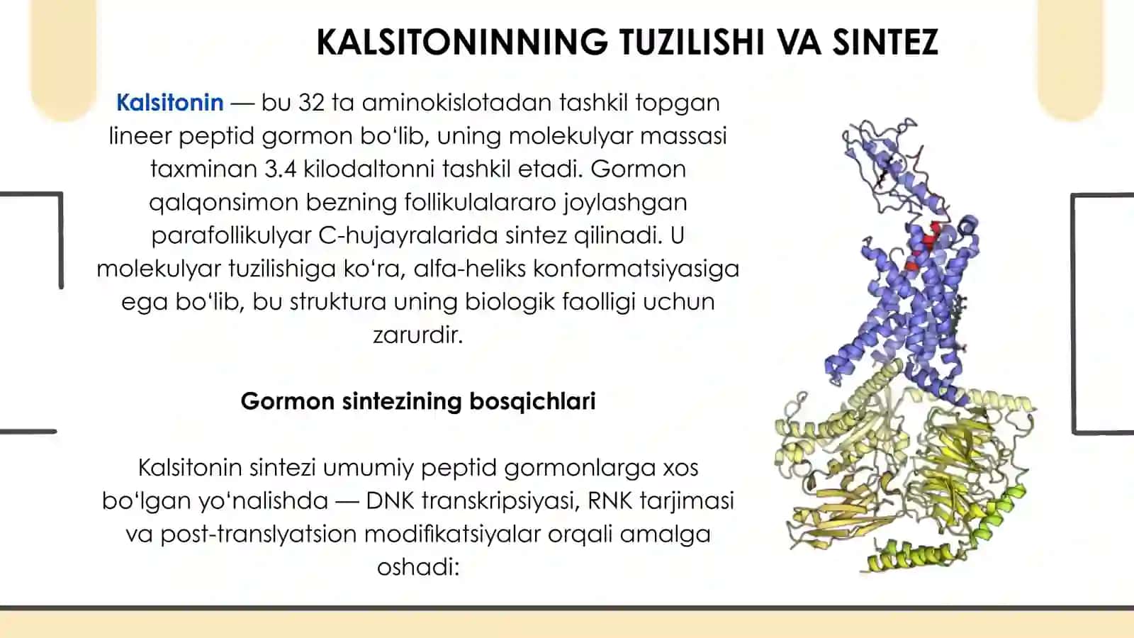 KALSITONIN GORMONI 3