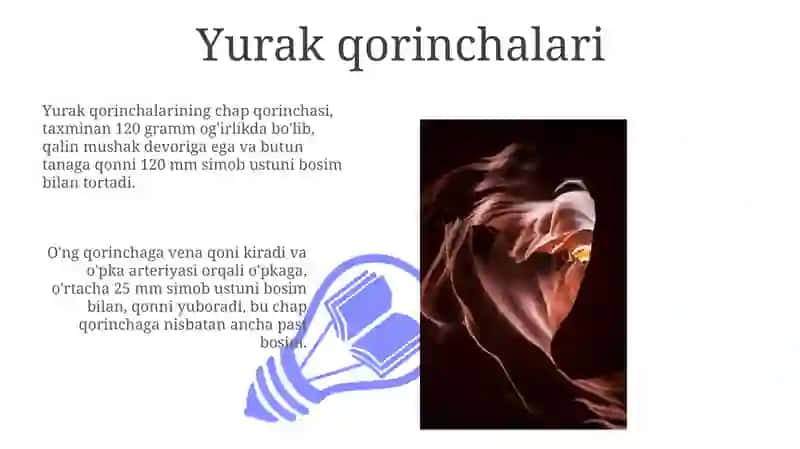 Yurak anatomiyasi 3