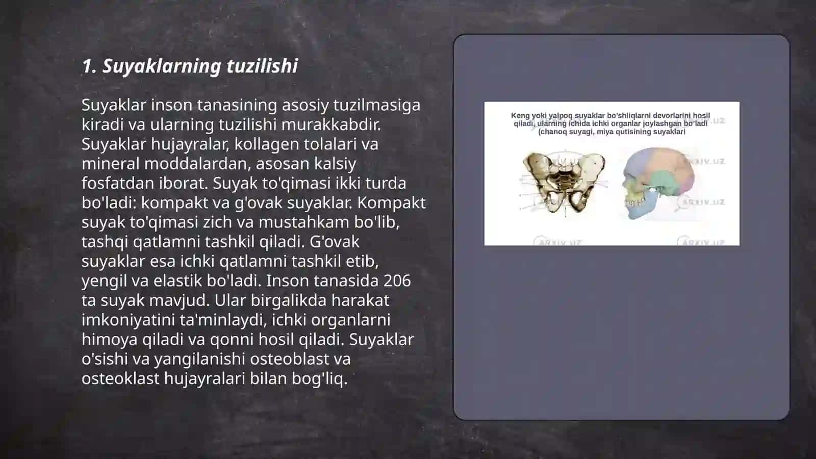 Tayanch harakat sistemasi(Osteologiya) 3