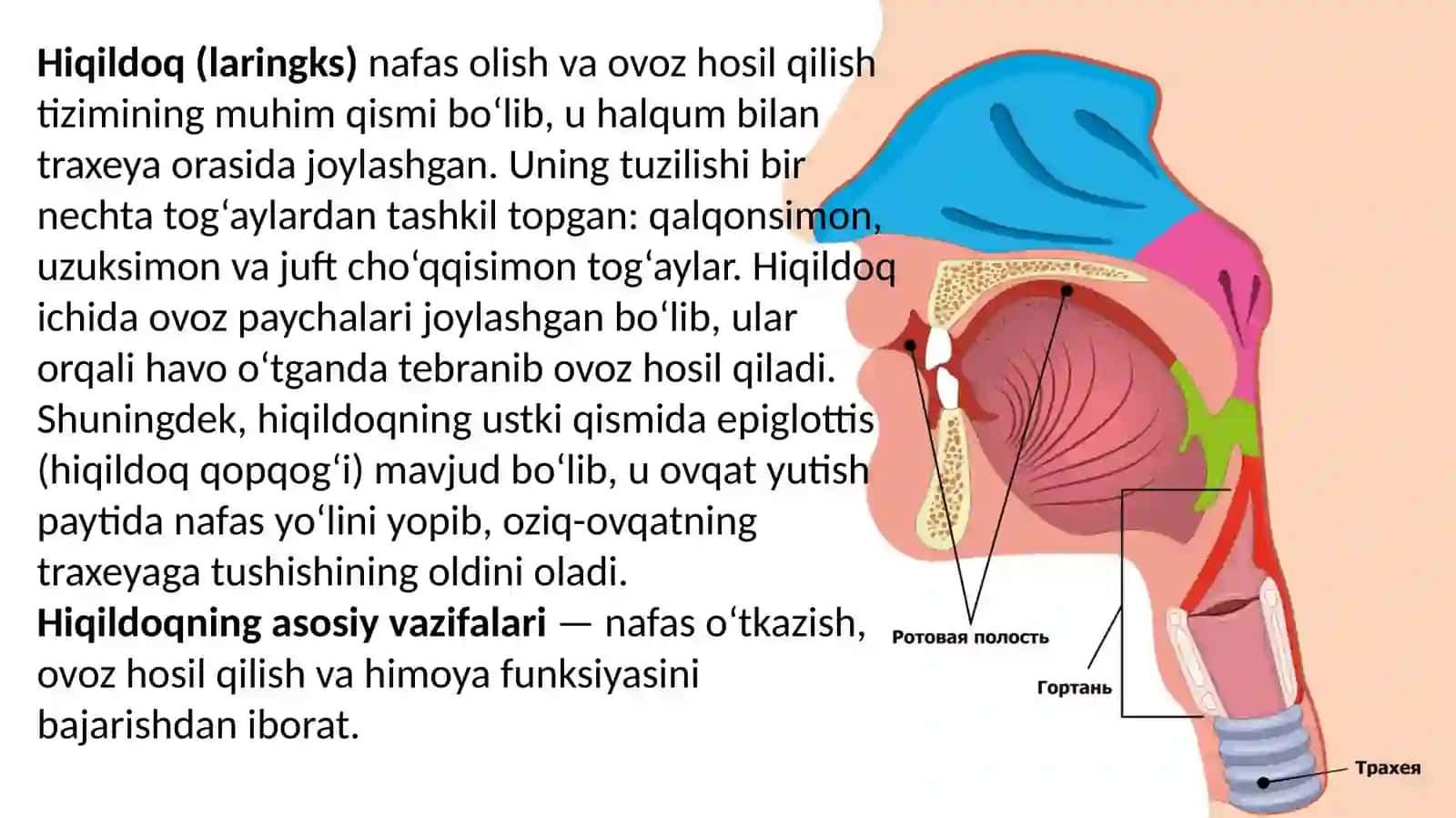 Halqum kasalliklari 3