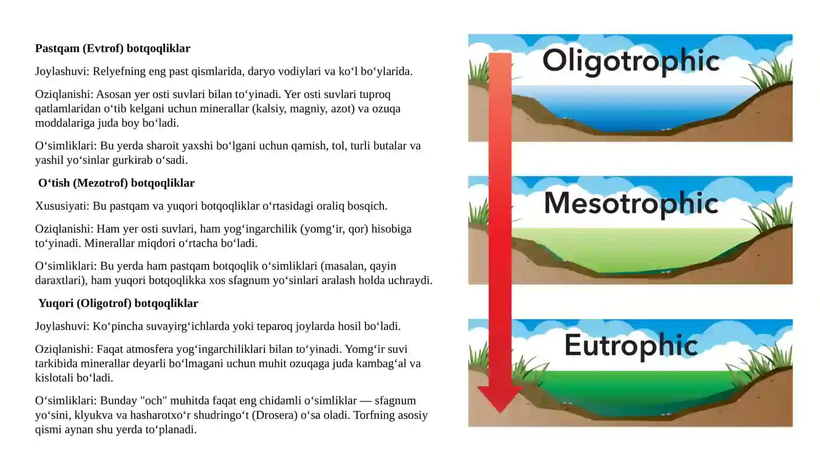 Botqoqliklar mavzusida taqdimot 3