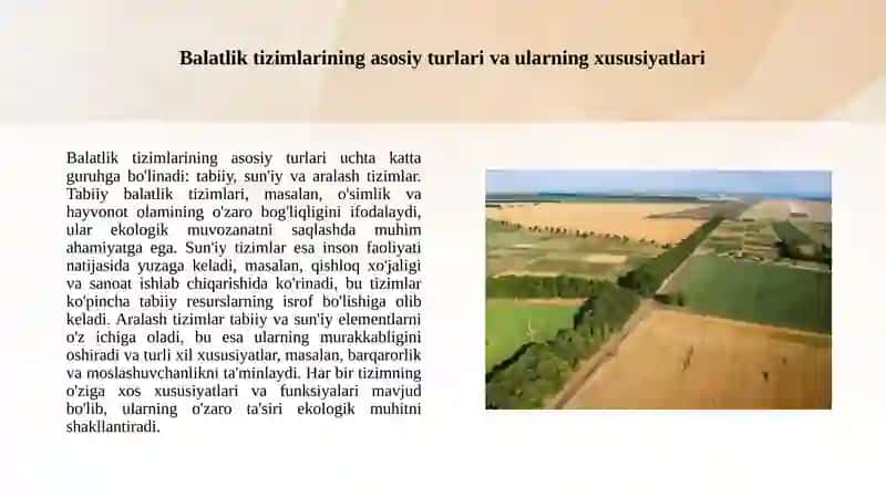 Balatlik tizimni aniqlash 3