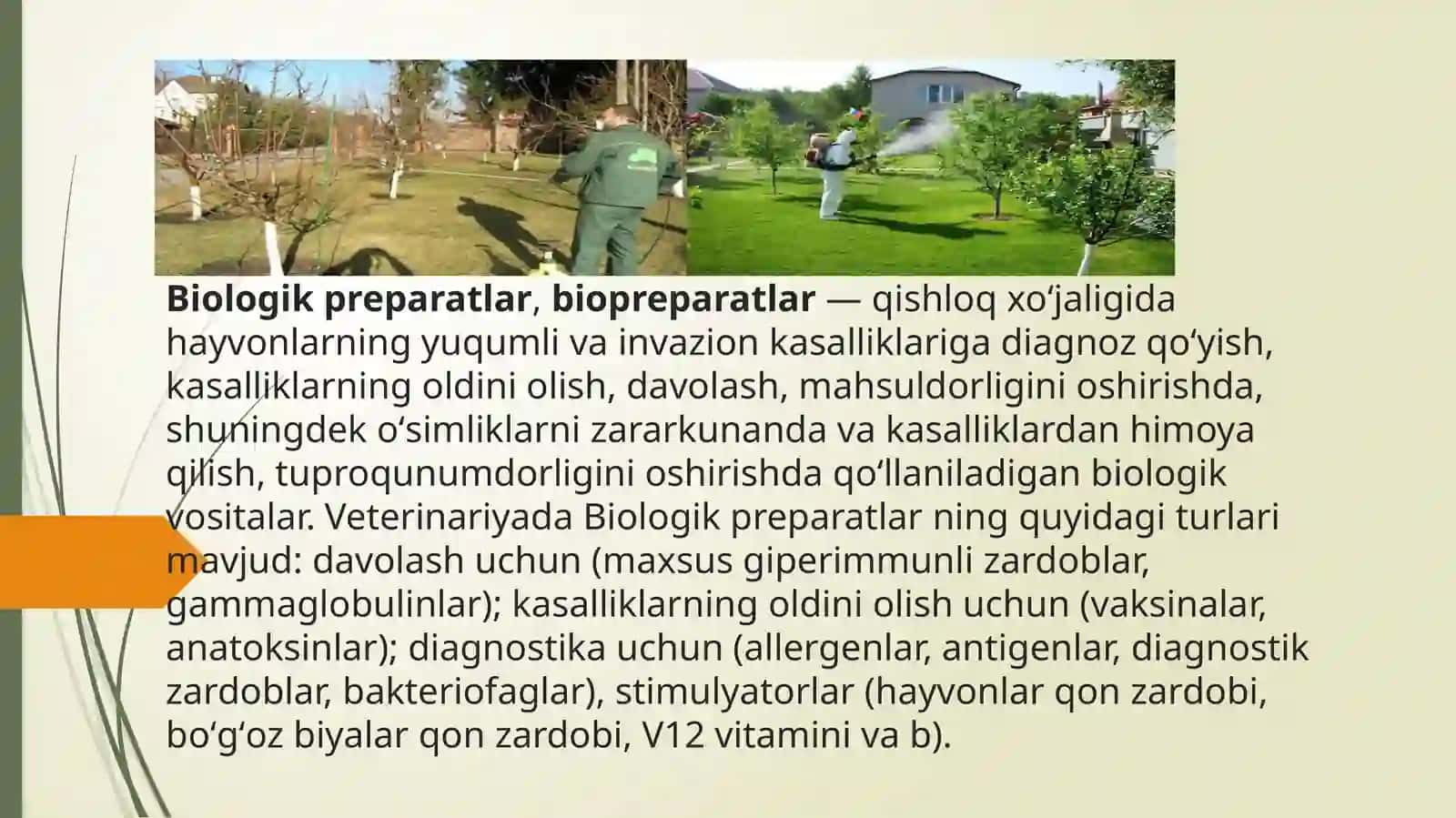 Biopreparatlar va ularni qo'llash usullari 3