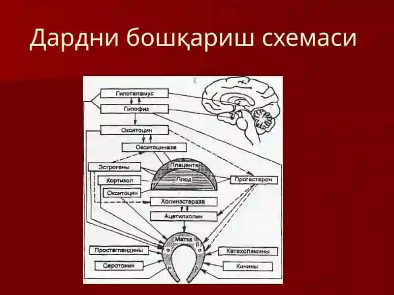 Тугрук кучлари нуксонлари 3