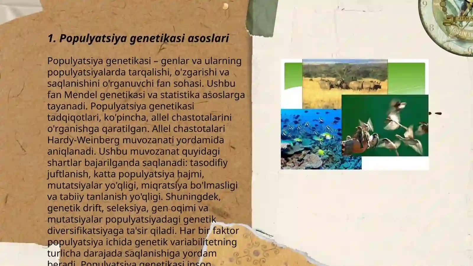 Populatsiyalar genetikasi 3
