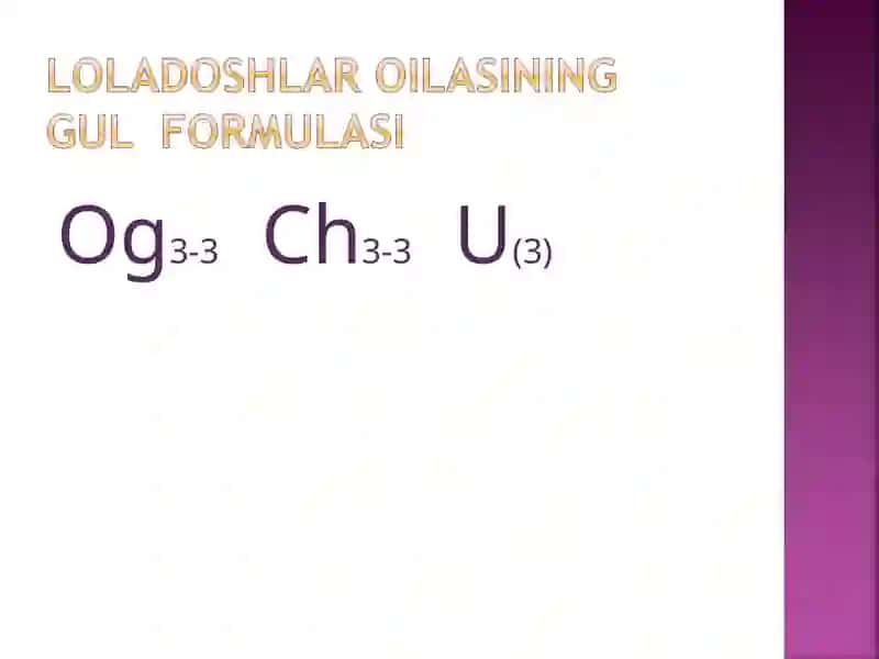 Loladoshlar oilasi 3