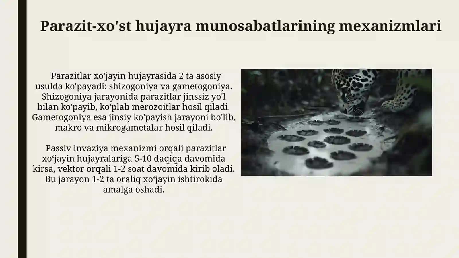 Parazit Hujayra Munosabatlari 3