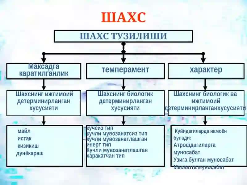 Шахс муаммоси 3