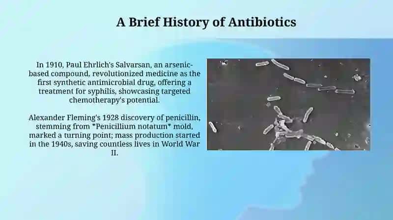 Antibiotics: A Comprehensive Overview 3