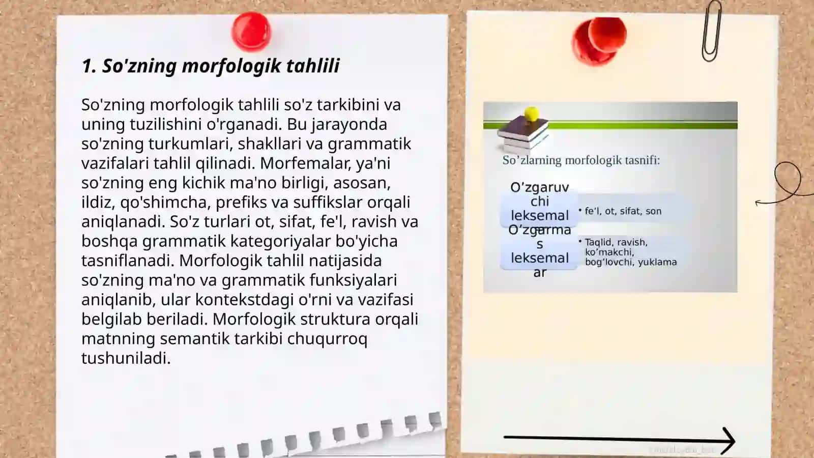 Tillarning morfologik tasnifi 3