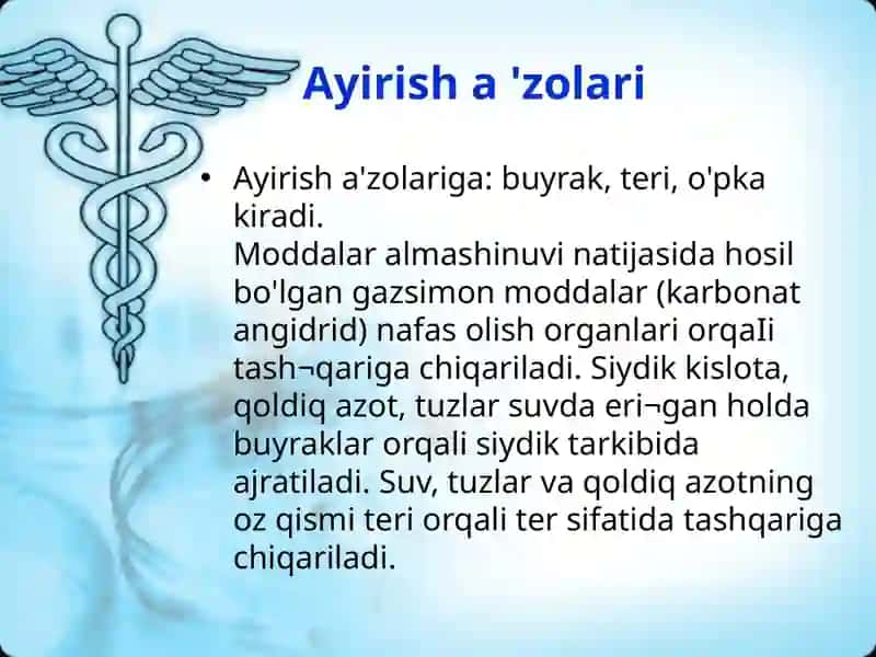 Ayirish organlari va ularning vazifalari 3