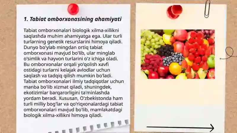 Tabiat omborxonasi.sabzavotlar Mevalar,rezavor mevalar 3