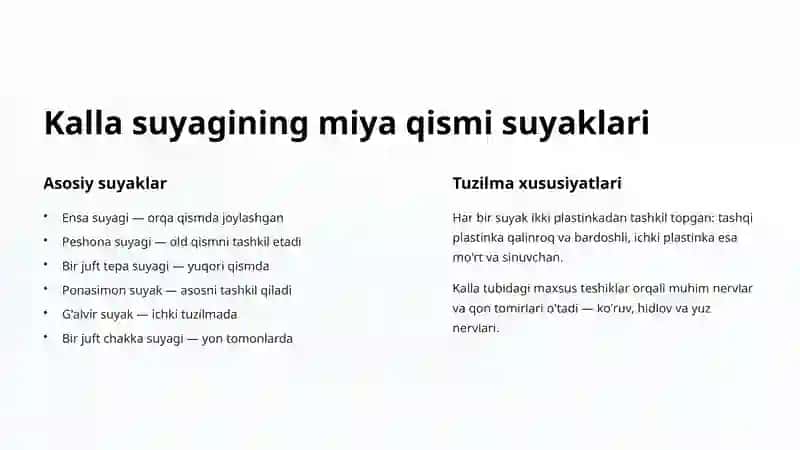 Bosh suyagi: Miya qismi anatomiyasi 3