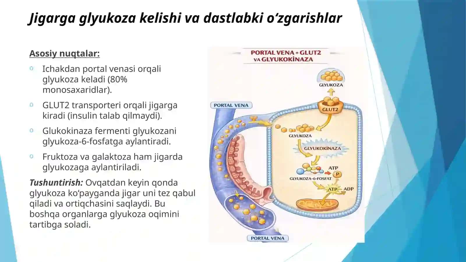 Jigardauglevodlaralmashinuvi 3