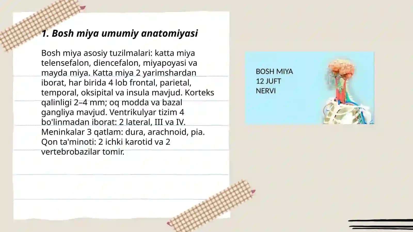 Bosh miya tuzulishi va funksiyasi 3
